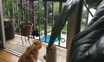 Imagem 2: APARTAMENTO - ALTO DA BOA VISTA - SP