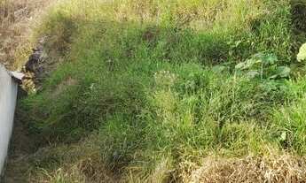 Imagem 5: CONGONHAS - Terreno Padrão - Zé Arigo