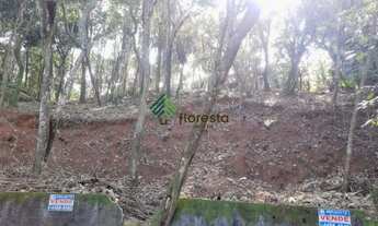 Imagem 3: TERRENO PLANO Terreno / lote com venda por R$275.000