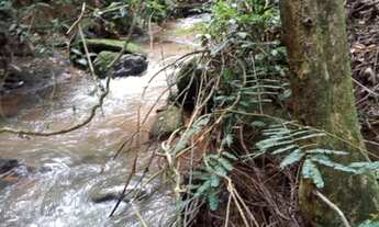 Imagem 4: Vendo sitio em paraju