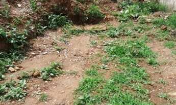 Imagem 2: Terrenos à venda em Mairiporã/SP - Compre o seu terrenos aqui!