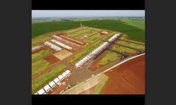 Imagem 1: Terreno Terras de Cravinhos