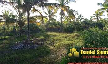 Imagem 2: AREA RURAL em PORTO SEGURO - BA, área pé na areia - Porto Seguro