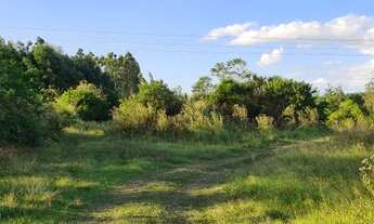 Imagem 4: Chácara em Triunfo