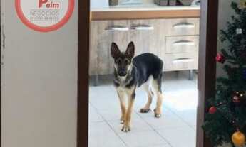 Imagem 6: Residencial Jardim das Flores Torre I