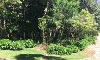 Imagem 2: Terreno Presépio