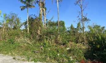 Imagem 4: TERRENO RESIDENCIAL em GARUVA - SC, Centro