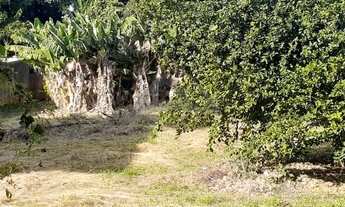 Imagem 7: Terreno - Chácara Primavera - Campinas