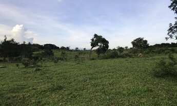 Imagem 5: Sítio 5 alqueires Petrolina de Goiás ( chácara