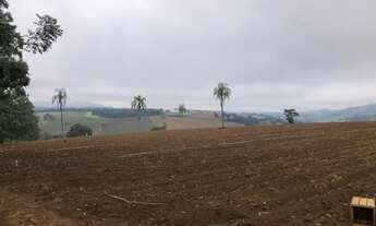 Imagem 4: VENDO FAZENDA REGIAO DE POUSO ALEGRE (6178