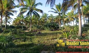Imagem 5: AREA RURAL em PORTO SEGURO - BA, área pé na areia - Porto Seguro