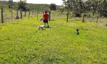 Imagem 7: Fazenda/Sítio/Chácara para venda com 4700000 metros quadrados com 3 quartos