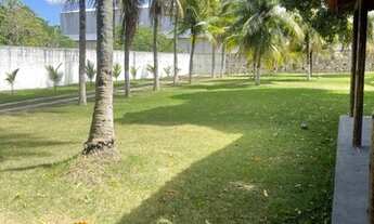 Imagem 5: Vende-se Chácara em Jardim Lomoeiro 10milm2