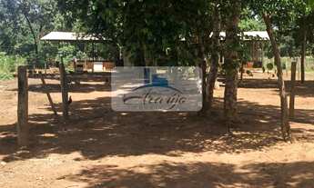 Imagem 4: Palmas - Chácara - Taquarussu