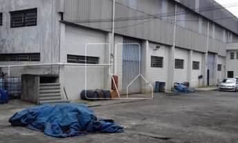 Imagem 10: São Paulo - Galpão/Depósito/Armazém - Vila Liviero