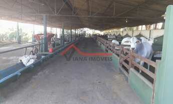 Imagem 5: Tietê - Sítio - Área Rural