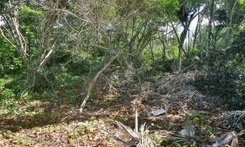 Imagem 6: Terreno de 4.111 m2 com 35 metros de praia, em Arraial D'Ajuda - Porto Seguro - BA