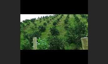 Imagem 6: 29.000M² toda na laranja em CABUÇU (Itaboraí RJ