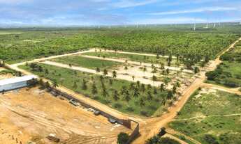 Imagem 2: Lote/Terreno para venda tem 150 metros quadrados em Centro - Trairi - CE