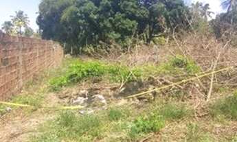 Imagem 6: Vendo lote Bica da pedra