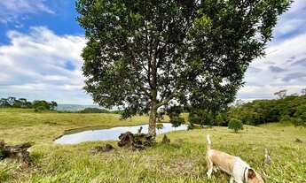 Imagem 2: Lindo terreno em Anitápolis ? 3hectares