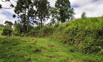 Imagem 3: Terreno Rural para Venda, 64.493,00 m², São Bento do Sul / SC, bairro Alpino