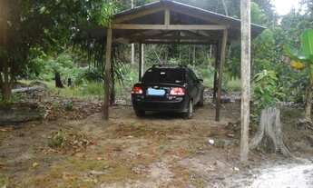 Imagem 11: Sítio KM 19 de Novo Ayrão, 20 minutos do Município de Manacapuru