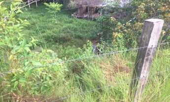 Imagem 3: Propriedade Rural 20.400m