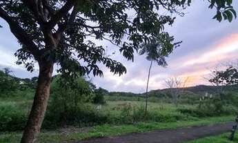 Imagem 4: Terreno Jurerê Internacional