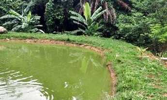 Imagem: Chácara venda 4000 m2 - Goianápolis