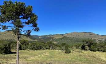 Imagem 3: Urubici/Área rural de 6.9 Hectares ás margens da SC-110, sentido São Joaquim