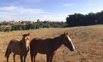 Imagem 7: Venda - Chácara - Centro - Novais - SP