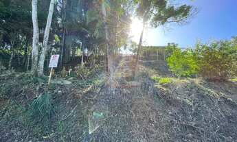 Imagem 3: Blumenau - Terreno Padrão - Salto Norte