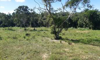 Imagem: Lote/Terreno para venda possui 13.500 metros