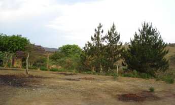 Imagem 3: Venda Commercial / Land Lot Nova Lima MG