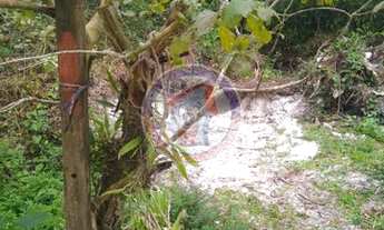 Imagem 7: Terreno à venda 257M², Jardim Coronel, Itanhaém - SP