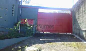 Imagem: Galpão em Vila Basileia - São Paulo/sp