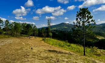 Imagem: Lote/Terreno para venda tem 1000 metros