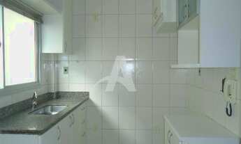 Imagem 5: Aluguel Apartamento SANTA MONICA