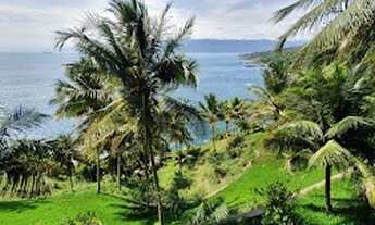 Imagem 3: Lote/Terreno para venda tem 18213 metros quadrados em Itapecerica - Ilhabela - SP