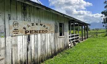 Imagem 7: Fazenda com 204 HA à venda em Penha, Paulo Lopes