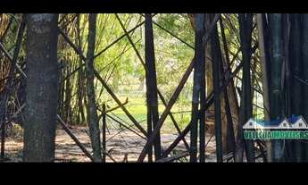 Imagem 3: Sitio diferenciado em águas claras, 2,5 hectares com fundos para lagoa