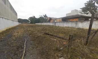 Imagem 3: JOINVILLE - Terreno Padrão - Vila Nova