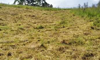 Imagem 2: VENHA TER O SEU TERRENO DOS SONHOS AQUI!