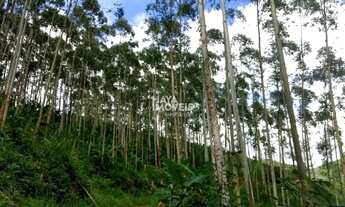Imagem 7: Fazenda à venda, Rural, Cajati, SP