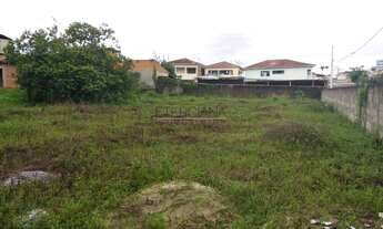 Imagem 4: BORDA DA MATA - Terreno Padrão - Nossa Senhora Aparecida