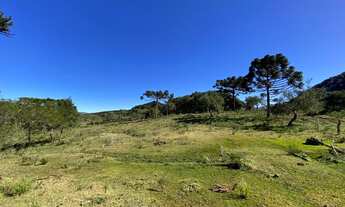 Imagem 7: Urubici/Área rural de 6.9 Hectares ás margens da SC-110, sentido São Joaquim