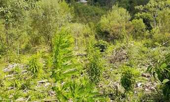 Imagem 6: Excelente chacara com 23.000 m2 Curralinho 550.000