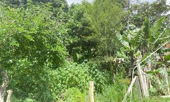 Imagem 4: Chácara com 2 dormitórios à venda, 7500 m² por R$ 450.000,00 - Agudo dos Frias - Bragança