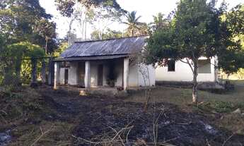 Imagem 3: Fazenda 24 hectares
